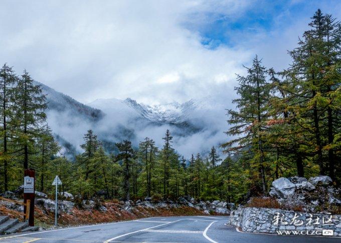 海鲜怎么吃才健康 - 海鲜怎么吃才健康红迪网平台